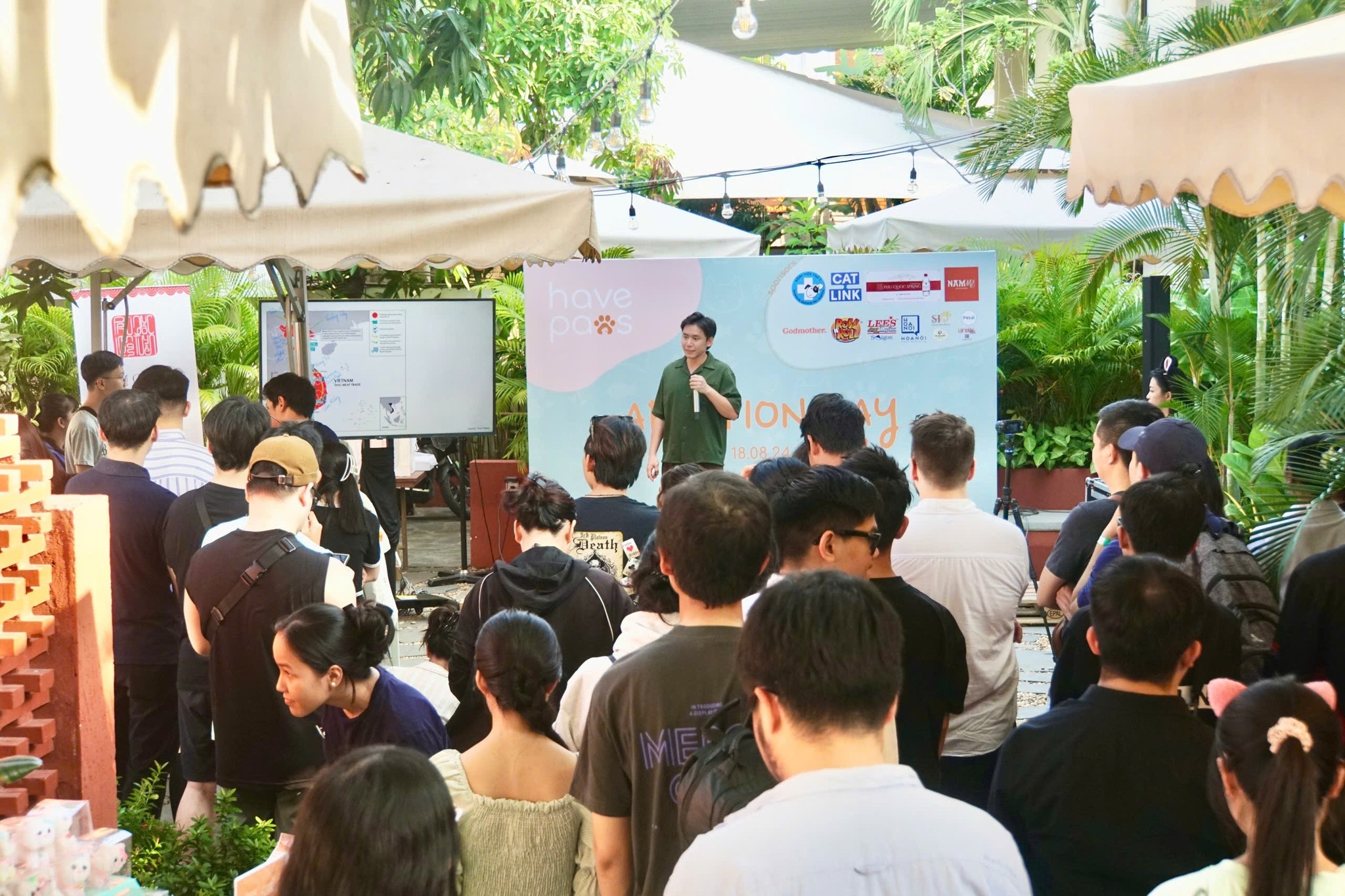 Những bé chó đang chờ được nhận nuôi