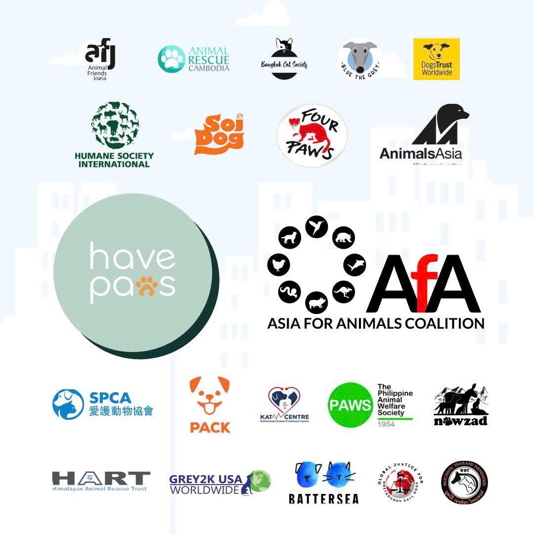HavePaws gia nhập Asia for Animals Coalition